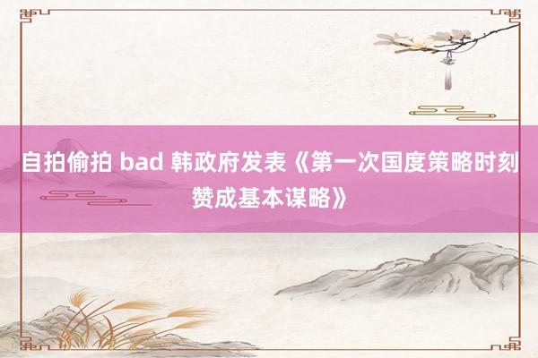 自拍偷拍 bad 韩政府发表《第一次国度策略时刻赞成基本谋略》