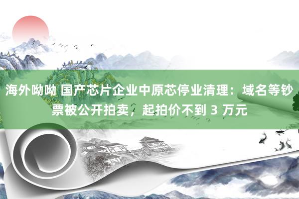 海外呦呦 国产芯片企业中原芯停业清理：域名等钞票被公开拍卖，起拍价不到 3 万元