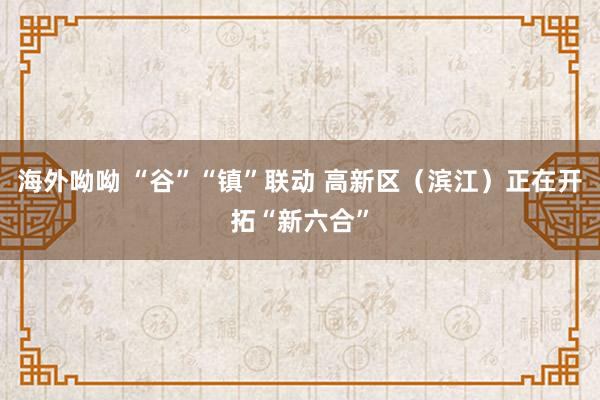 海外呦呦 “谷”“镇”联动 高新区（滨江）正在开拓“新六合”