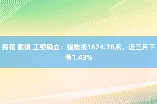 探花 眼镜 工银确立：指数报1624.78点，近三月下落1.43%