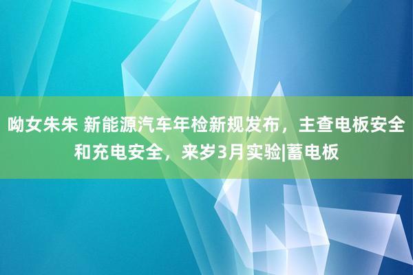 呦女朱朱 新能源汽车年检新规发布，主查电板安全和充电安全，来岁3月实验|蓄电板