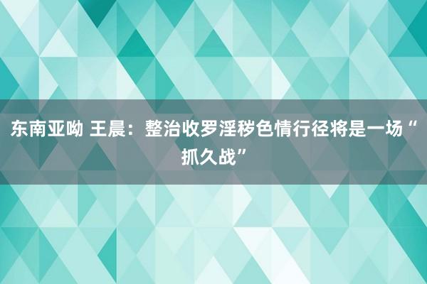 东南亚呦 王晨：整治收罗淫秽色情行径将是一场“抓久战”